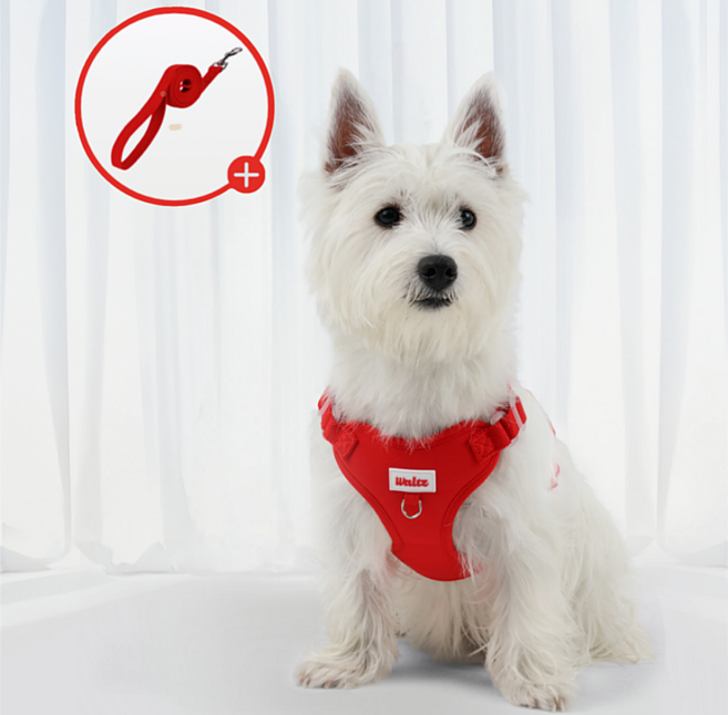 왈츠 강아지하네스 목줄 하네스 앞섬방지 슬개골 H형 가슴줄 소형견, 레드, 1개