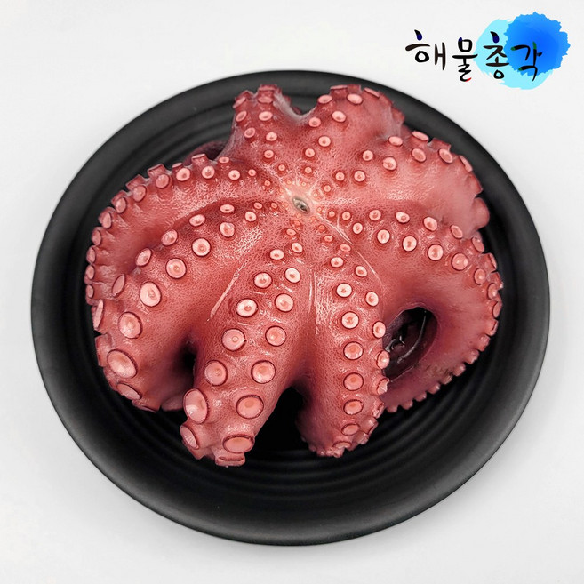 손질 자숙 문어, 1개, 800g