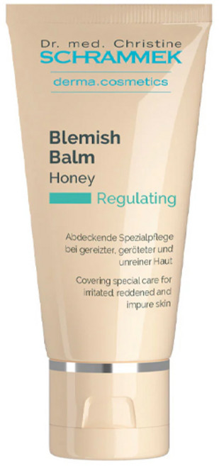 닥터슈라멕 오리지널 슈라멕 블레미쉬 밤 BB크림 40ml, 허니, 1개