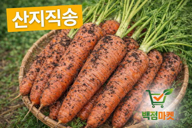 백점마켓 엄선 산지직송 국산 햇당근 신선한 흙당근_2kg_3kg_4kg_5kg_10kg_중 상 특 왕_백점마켓, 1박스, 3kg중