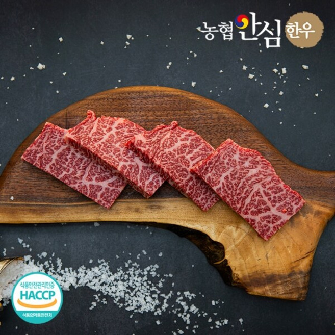 농협안심한우 1등급 한우 살치살 600g(300g x 2팩), 300g, 2개