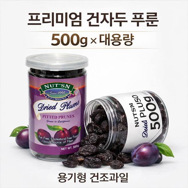 넛츠앤 프리미엄 건자두 푸룬 대용량 용기형 말린자두 건강간식 HACCP, 2개, 500g