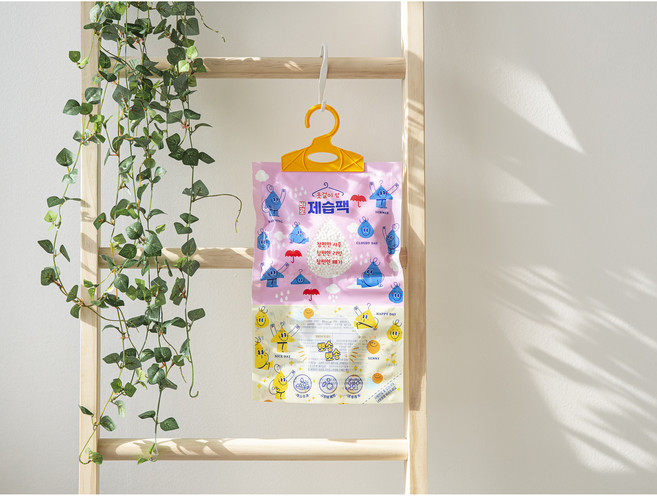 바로제습팩 옷걸이형 200g _10개입, 10개