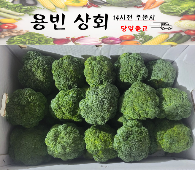( 용빈 상회 ) 국내산 햇 브로콜리 브로컬리 브로코리 1kg 2kg 3kg 8kg내외, 1박스, 8kg