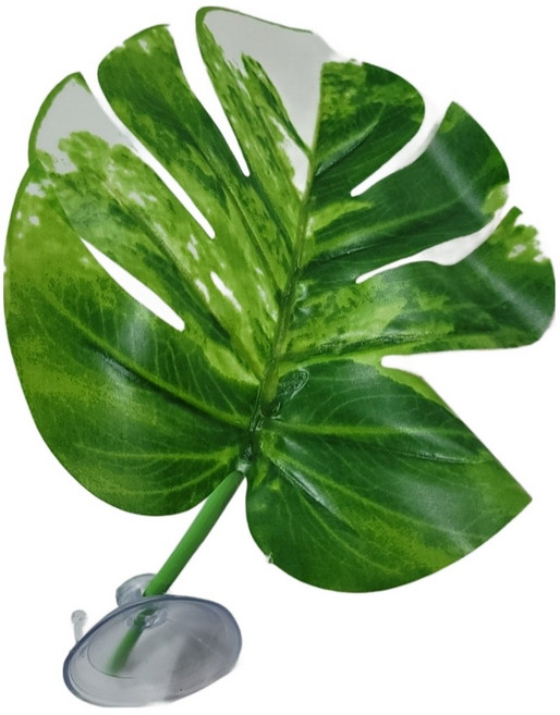 인조풀 알보 소 크레스티드게코 조화장식 백업, 1개, 그린