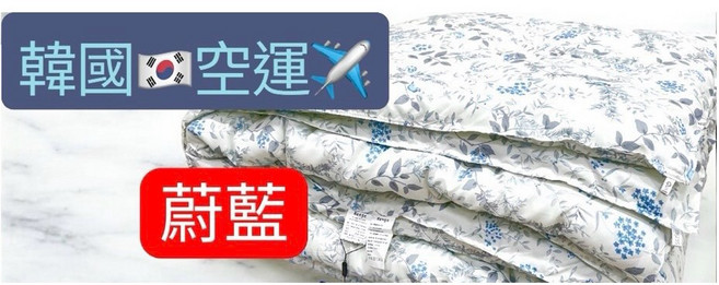 韓國絨 玉米冬被 四季被 正韓原裝進口 保暖棉被, 藍蔚藍-푸른 꽃