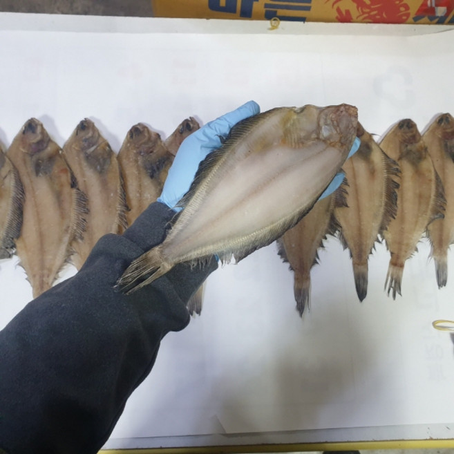 웰빙건어물 국산 반건조물가자미중 기름가자미 반건조미주구리 10마리 23~25cm내외 구이용 조림용 국산 가자미, 1세트, 720g내외