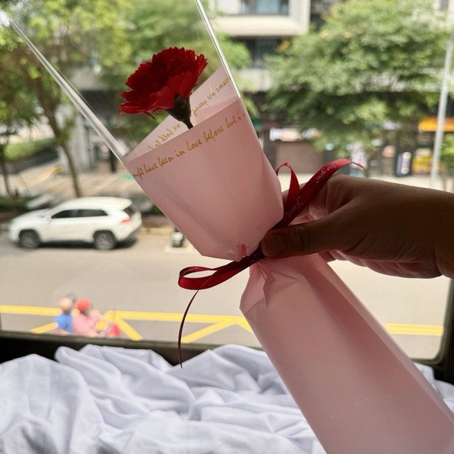 單支康乃馨香皂花束 告白求婚生日禮物 溫馨祝福花禮, 1個, 紅色康乃馨, 紅色康乃馨