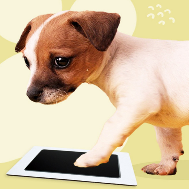 앤에이 강아지 발도장 스탬프 발도장제작, 검, 1개