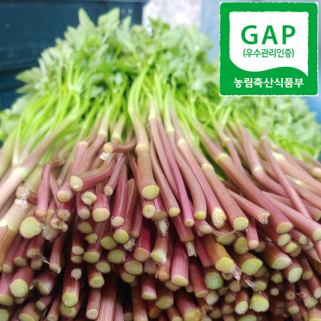 천연암반수로 재배된 깨끗한 청도미나리, 1개, 500g