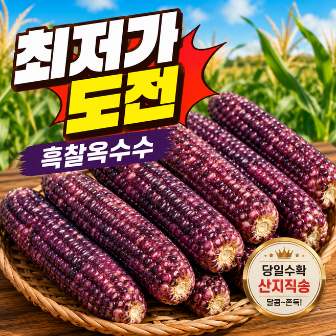[100박스한정판매] 쪽득한환상의맛 국산 강원도 흑찰옥수수, 1세트, 특품 10개