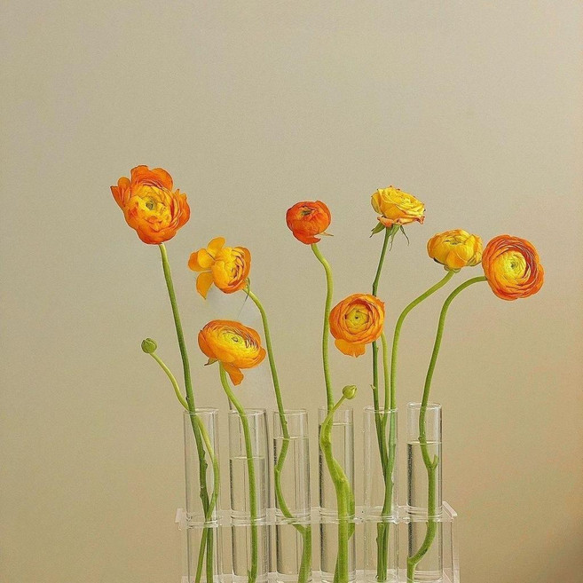 網紅試管花架 實驗試管花瓶 玻璃花瓶 擺件組合花瓶 (不含花), N/A