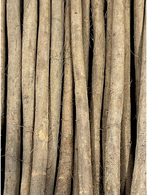 국내산 안동 햇 우엉 (특), 1개, 1kg