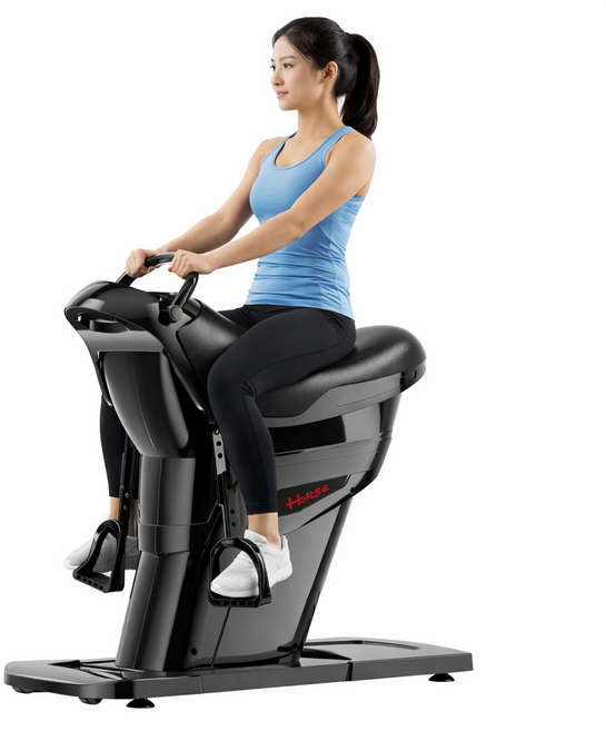 가정용 승마운동기구 승마기구 실내 말타기 케켈 힙업 헬스 전신운동 홈트, 블랙, 1