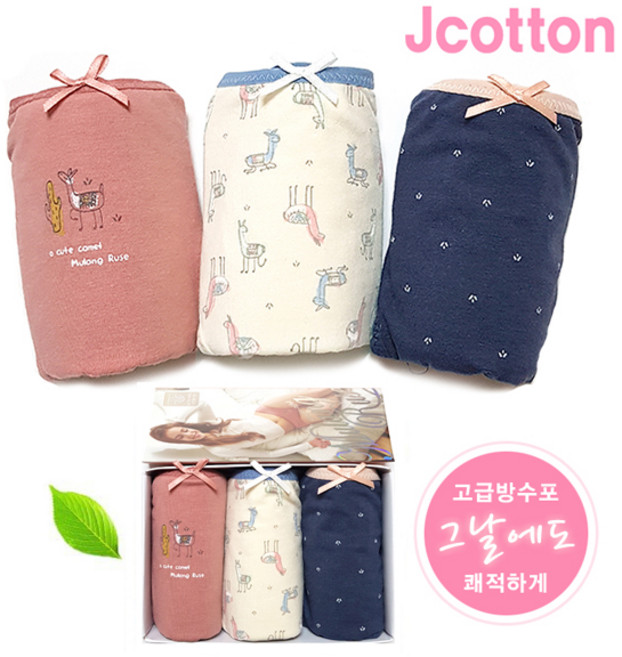 생리 위생 학생 팬티세트