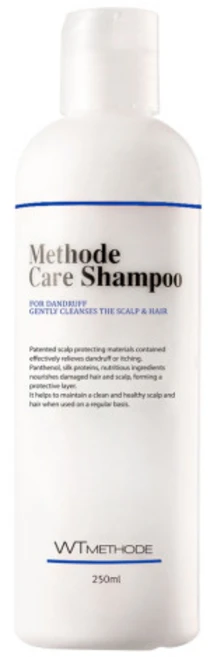 [WT메소드 공식몰] 메소드케어샴푸(비듬) 250ml 비듬관리 두피샴푸, 1개 - 쿠팡