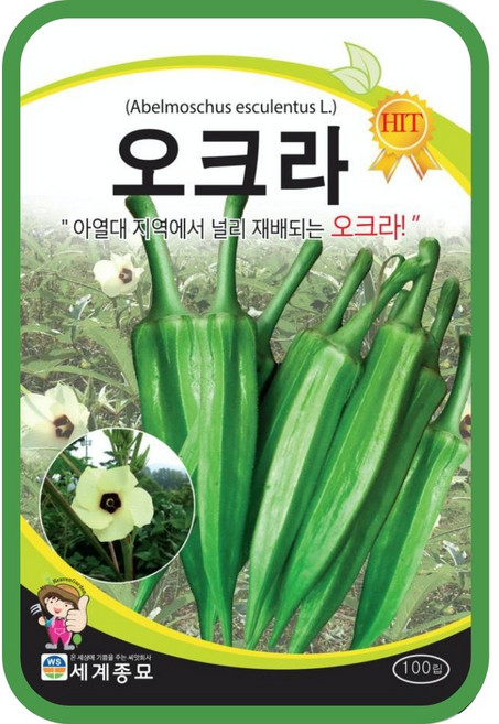 오크라 100립/오크라종자 텃밭 키우기 오크라씨앗, 1개