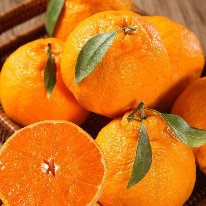 올리콤 초 고당도 제주직송 한라봉, 1박스, 선물용 특상품 대과 10kg