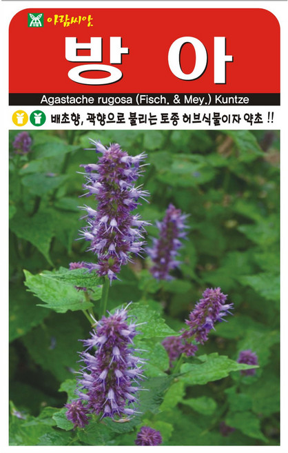 아람종묘 방아 씨앗 1000립, 1개