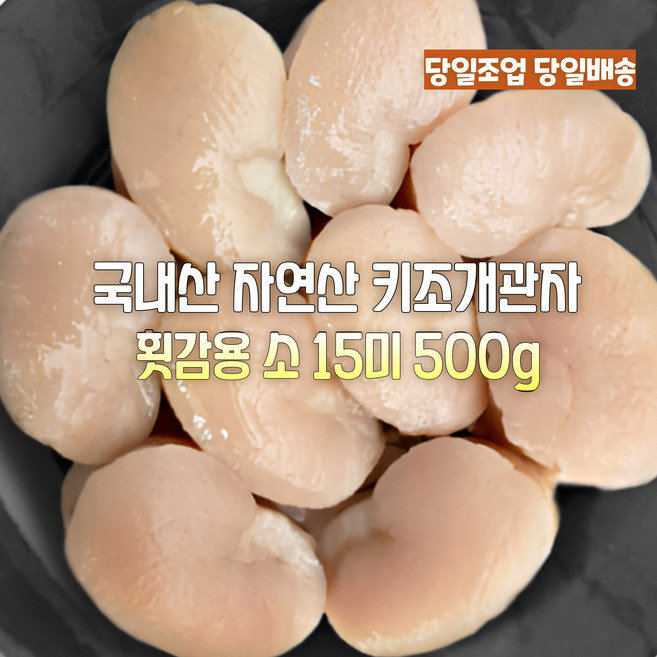[산지직송] 국내산 자연산 새벽조업 당일배송 횟감용 통영.거제 키조개관자 재철요리 선물용 가정용, 1세트, 새벽조업 당일배송 횟감용 생 관자 소 15미 500g