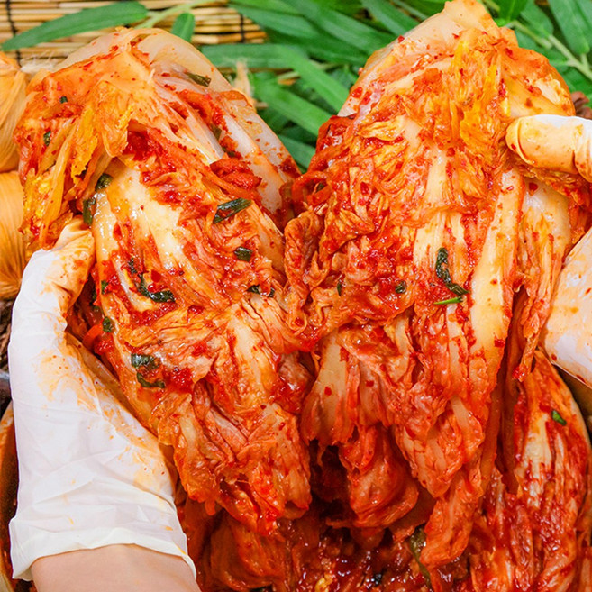 명인 포기김치 해남배추 HACCP 인증 갓담은 수제 배추김치 5kg 10kg 춘배네농수산, 1박스