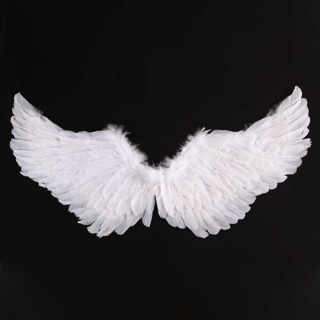 천사 날개 코스튬 어린이용 성인용 날개옷