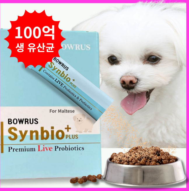 바우루스 강아지 고양이 프로바이오틱스 유산균, 30회분, 말티즈, 1박스
