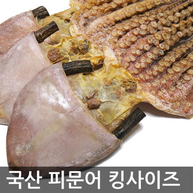 고흥 건조 피문어 약문어 국내산, 1개, (특대)50cm이상