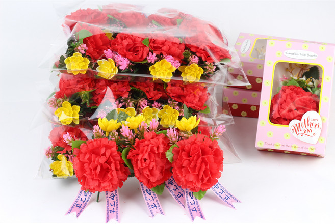 노크원 국산카네이션코사지 어버이날 스승의날 행사용, 특2