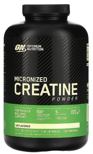Optimum Nutrition 미분화 크레아틴 파우더 600g 120회분, 1개 - 쿠팡