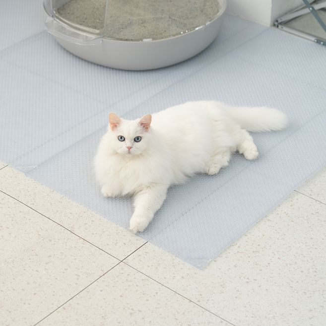 냥쌤 투명 캐치매트 고양이 모래 매트 사막화 방지 발판 패드, 1개