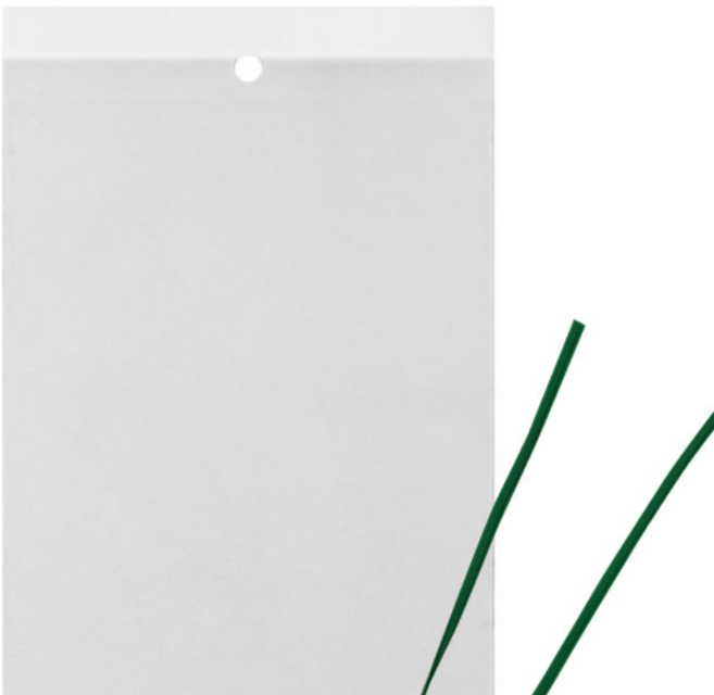 배드버그퇴치제 베드버그퇴치제 벼룩파리 노린재퇴치 권연벌레퇴치, 1세트, 10g