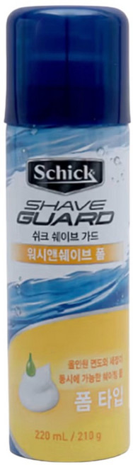 쉬크 쉐이브 가드 워시앤쉐이브 폼, 210g, 1개
