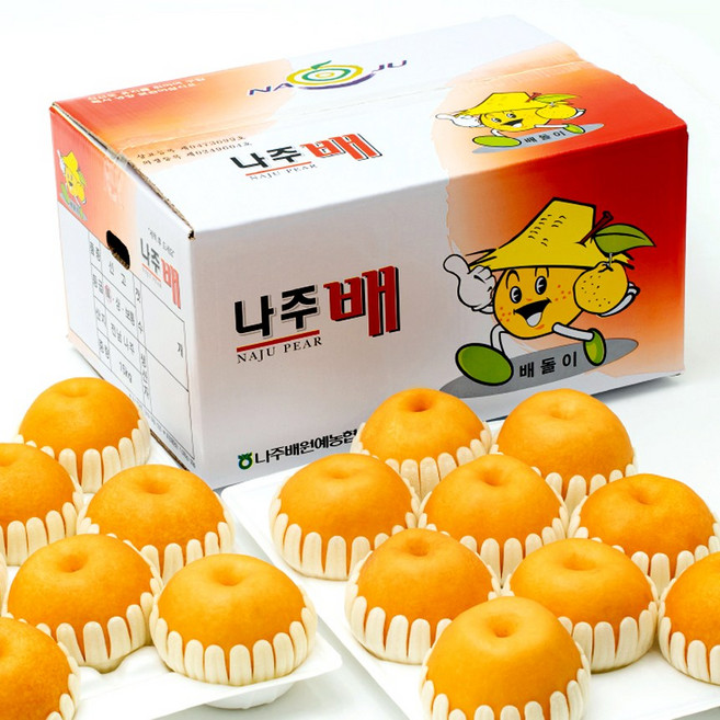 셀링크 농협 고당도 나주배 가정용 선물용 세트, 셀링크 나주배(16-20과) 특품선물용, 1박스, 15kg