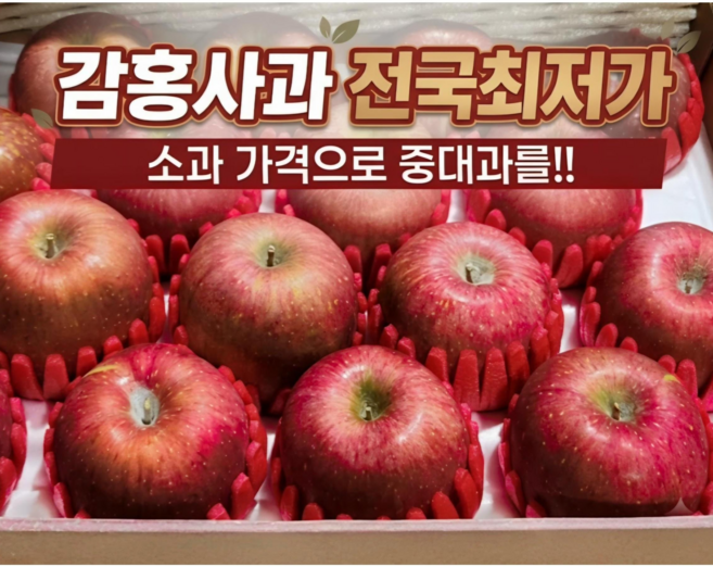 [게릴라특가할인] 고당도 문경 감홍사과 중대과, 1박스, 못난이: 3kg, 중대과(12과내외)