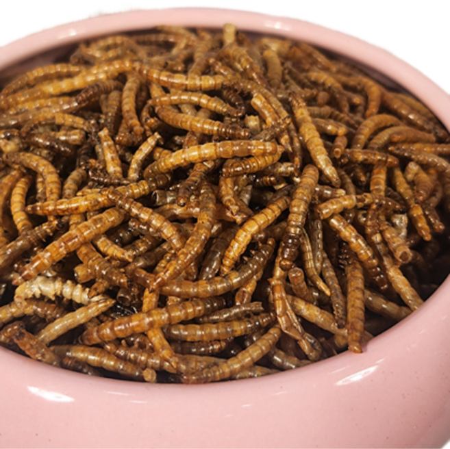 내츄럴한 열풍건조밀웜 500g (10g당 300원), 2개