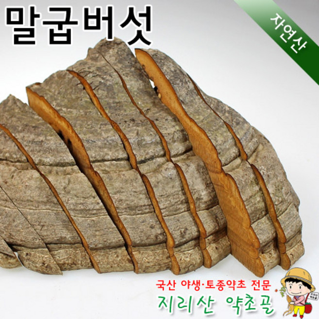 자연산 말굽버섯 300g 실속형 절편, 1개