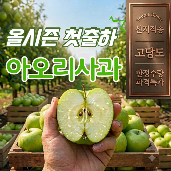 [산지직송] 고당도 아오리사과 청사과 썸머킹, 1개, 1kg