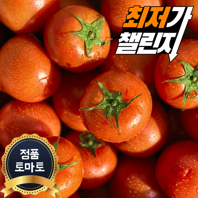 [최저가도전]새벽경매 완숙토마토 초특가, 1박스, 5kg