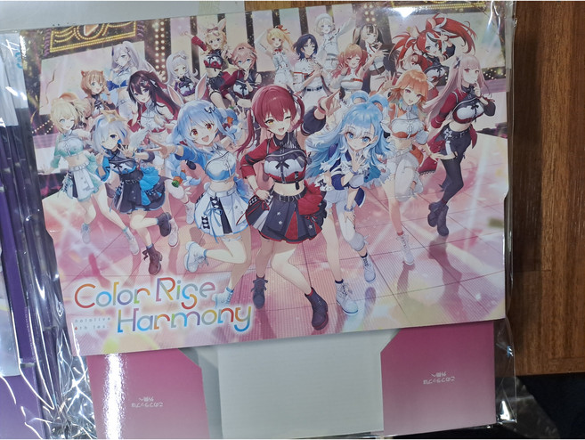 홀로라이브 스톡케이스 VOL.3 (센터 호쇼 마린) (중대형 카드 보관 케이스) 부시로드