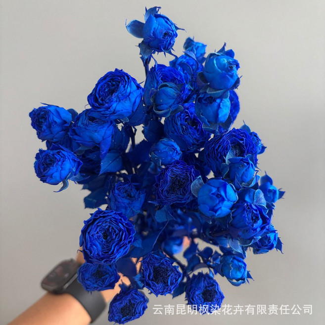 永生花玫瑰花束, 寶藍色