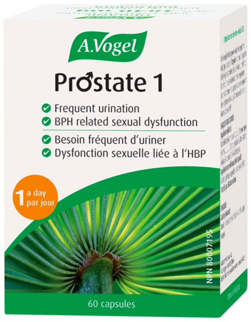 에이보겔 쏘팔메토 전립선 프로스테이트 1 60캡슐 A Vogel Prostate Saw Palmetto, 60정, 1개, 60정