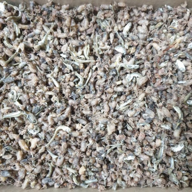 웰빙미래 국산 햇 건 꼴뚜기소 마른 꼴뚜기 500g 술안주 볶음용 밑반찬, 1개