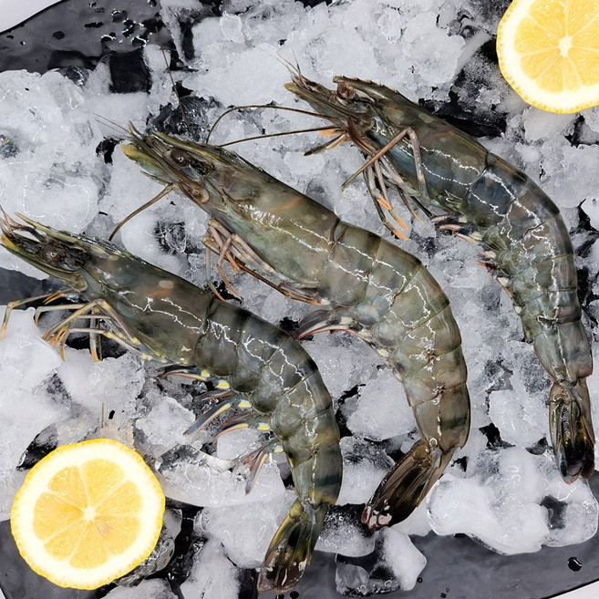 피터씨마켓 블랙타이거새우 500g, 1개, 500g(8미)