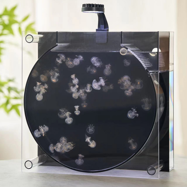 애완해파리 어항 반려동물 탱크 수족관 관상어 수조 아크릴, 상세페이지 참고, 1개