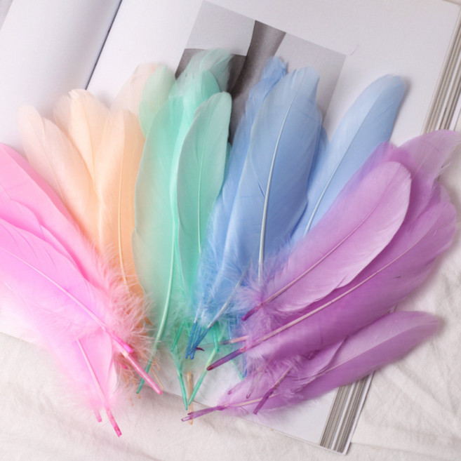 루나캐처 깃털 드림캐처 깃털장식 재료 칼라 새깃털, 100개, 파스텔 컬러