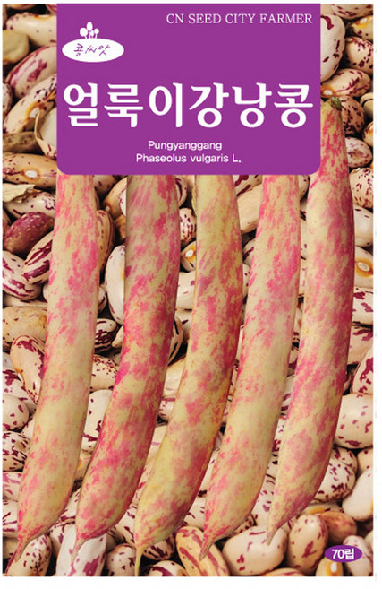 (CN) 얼룩이강낭콩 씨앗 (70립), 1개
