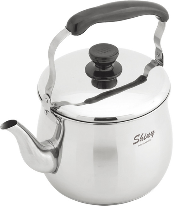 IH 스텐 주전자 인덕션겸용 가정용 물끓이는 주전자, 1개, 5L