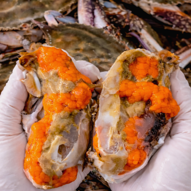 [알배기특상품] 국내산 연평도 알가득 제철 활 암꽃게, 1박스, 1kg (4-6미)