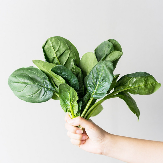 [재주문 1위] 국내산 노지 시금치, 1개, 500g